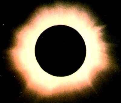 11990842.jpg